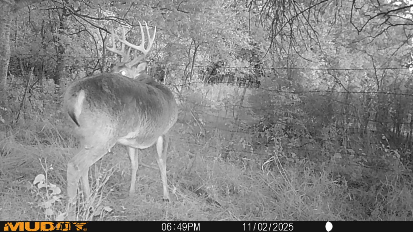 2950 Cr 2600, Independence, KS, 67301