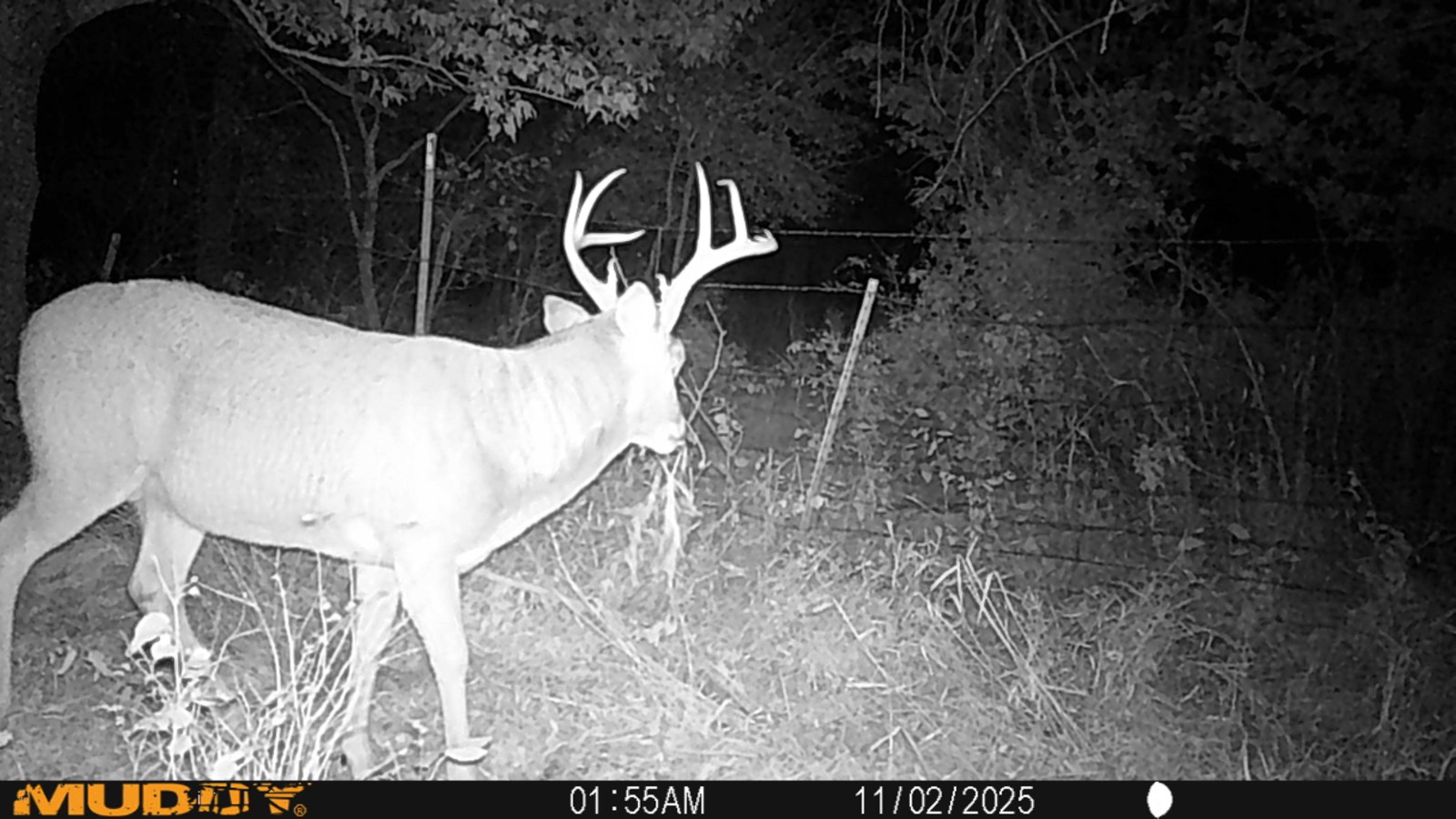 2950 Cr 2600, Independence, KS, 67301