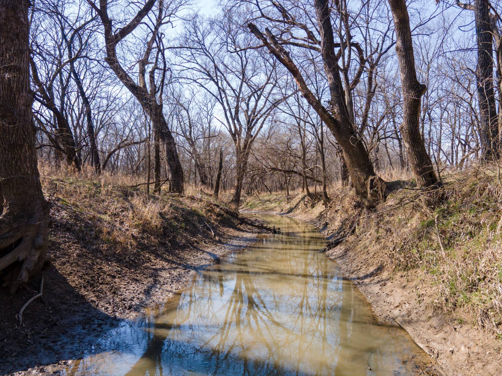 A-10; 100 Prairie View Cov