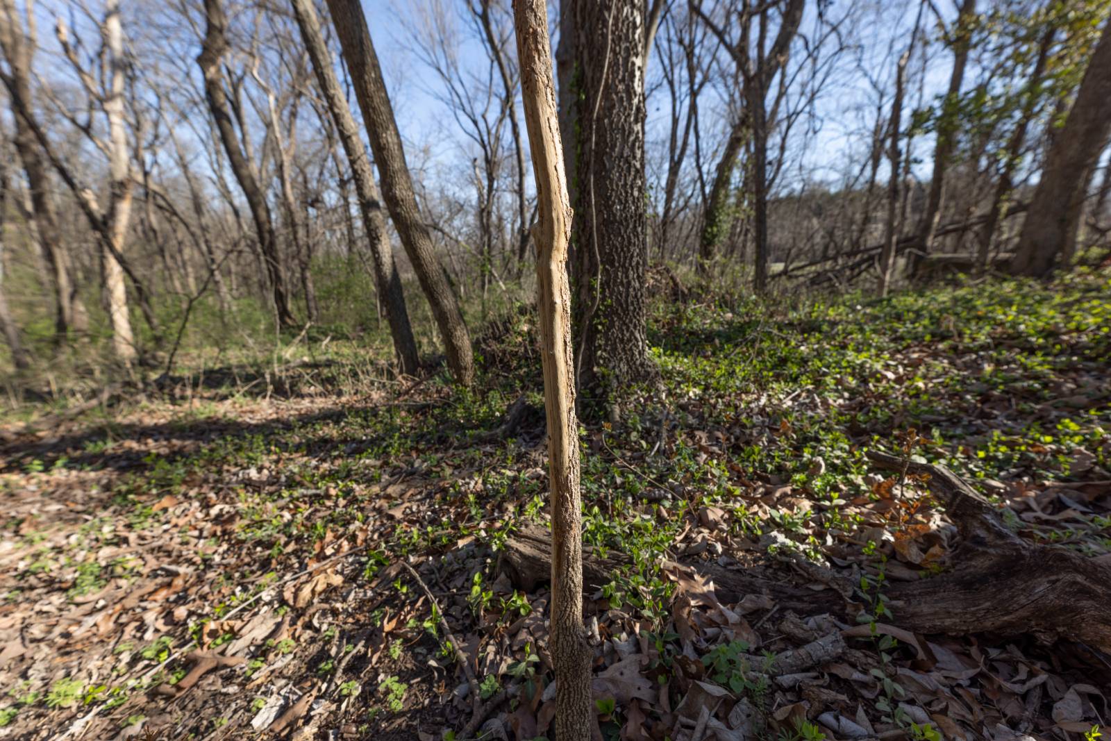 00000 N Penn, Independence, KS, 67301