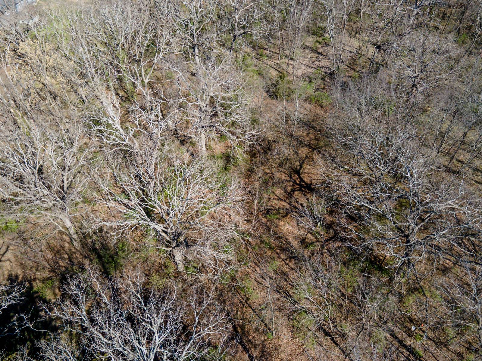 00000 N Penn, Independence, KS, 67301