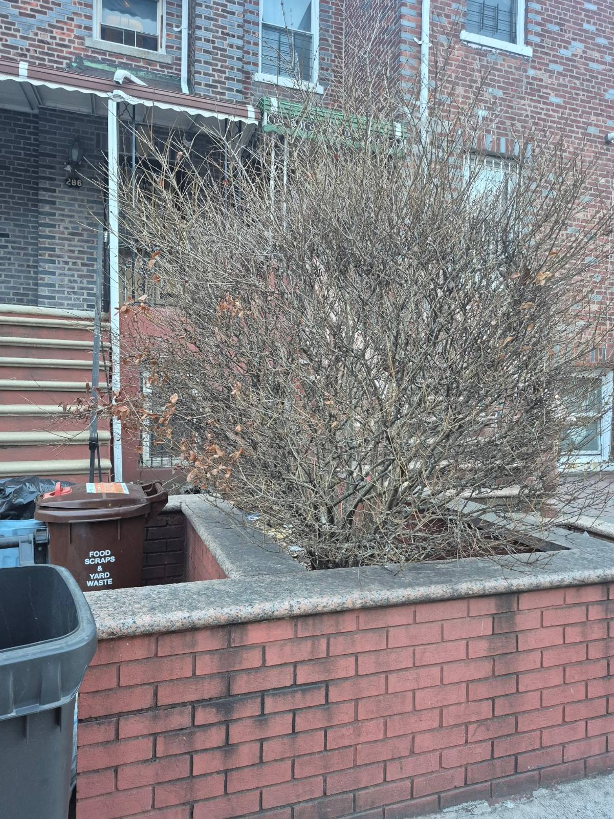 286 Rockaway Pkwy, Brooklyn, NY, 11212