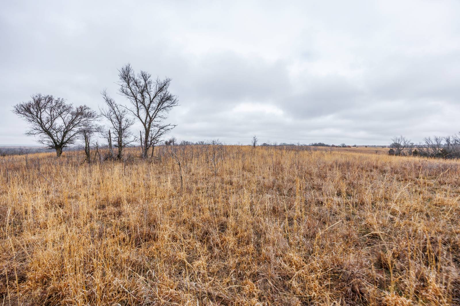 21485 Harper Rd, Fredonia, KS, 66736