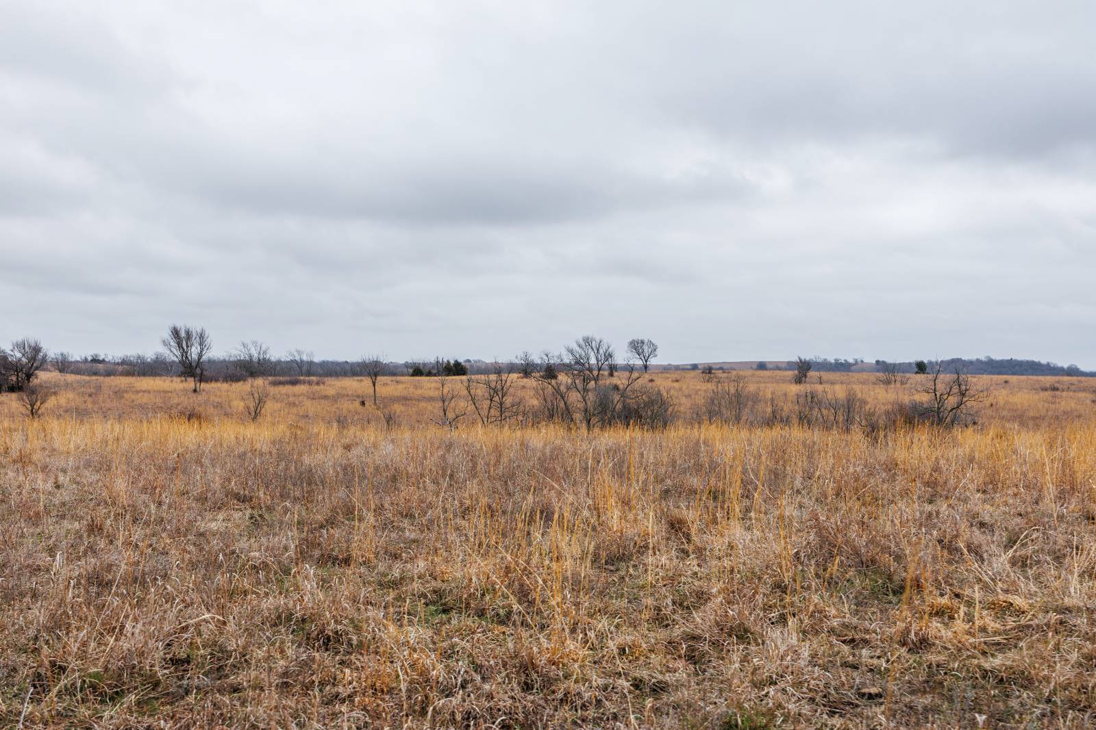 21485 Harper Rd, Fredonia, KS, 66736