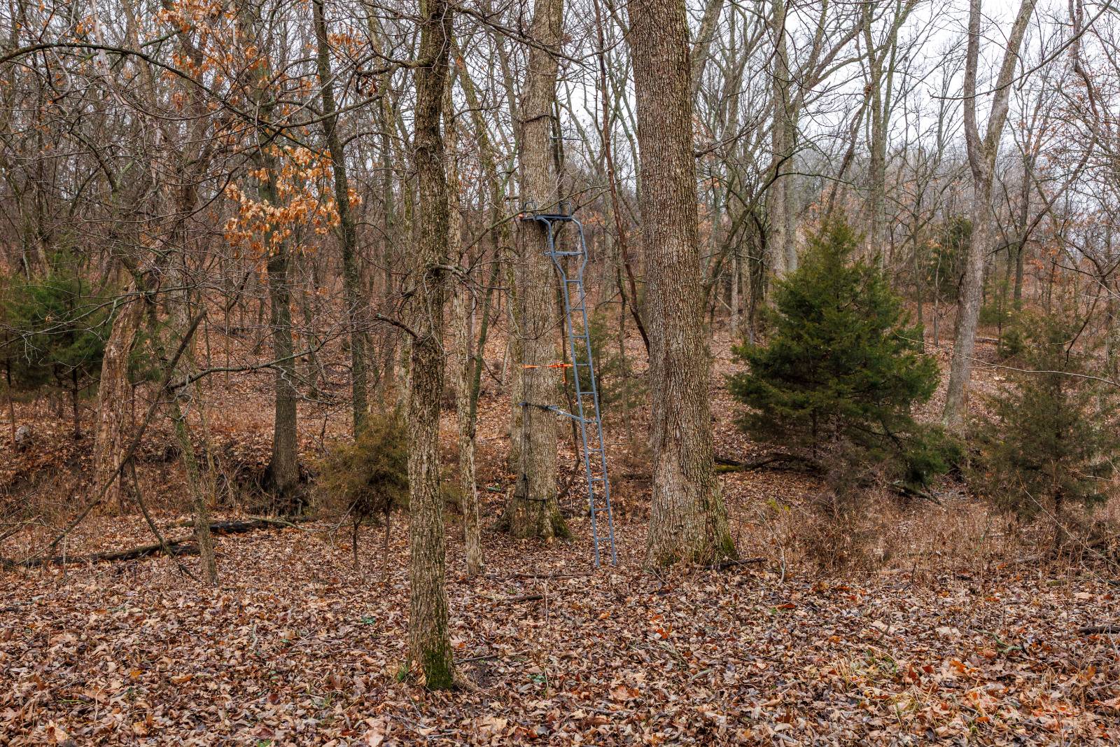 21485 Harper Rd, Fredonia, KS, 66736