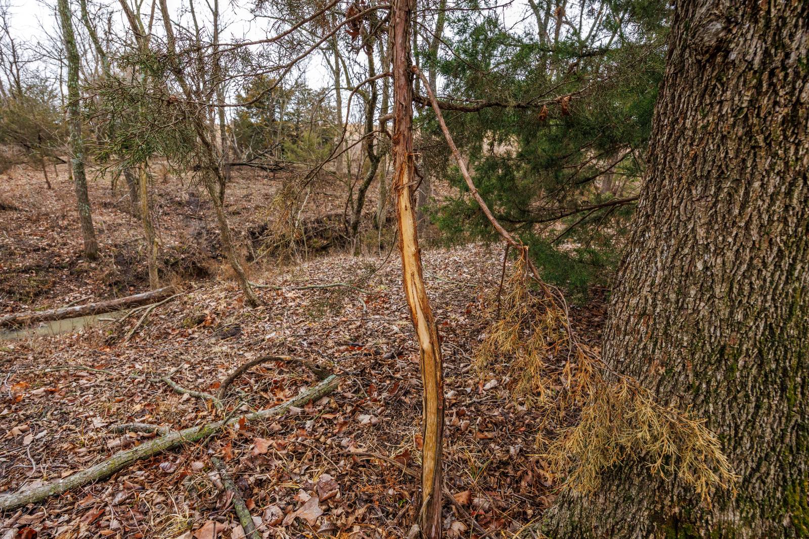 21485 Harper Rd, Fredonia, KS, 66736