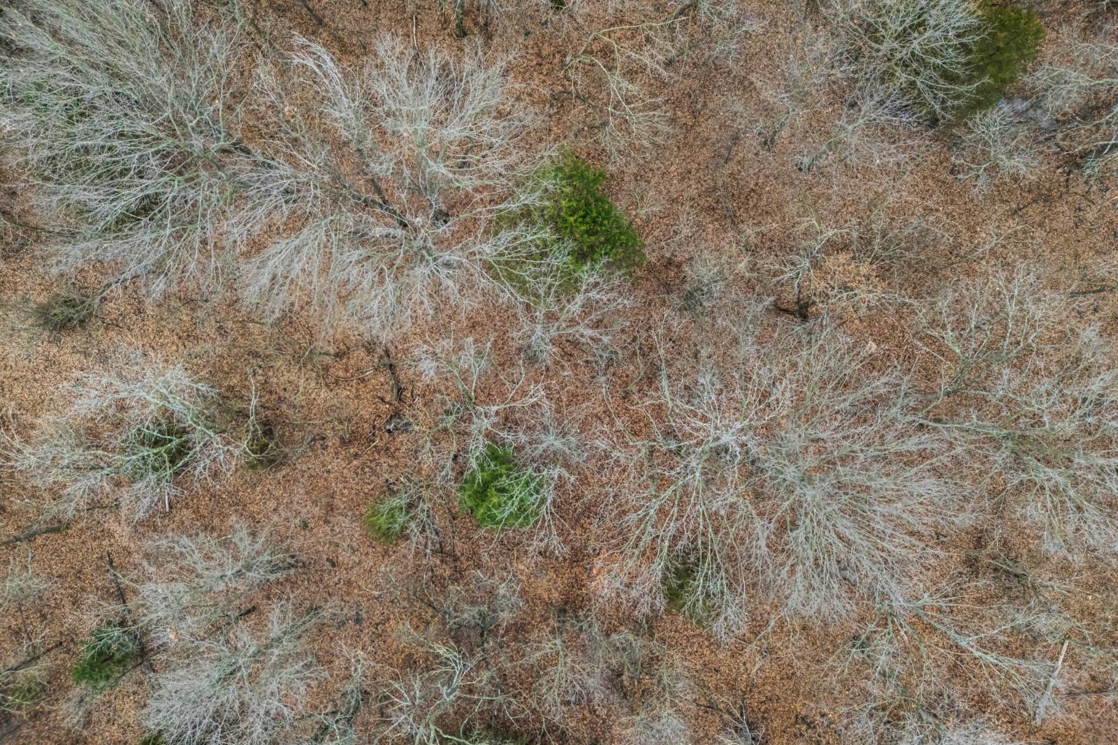 21485 Harper Rd, Fredonia, KS, 66736