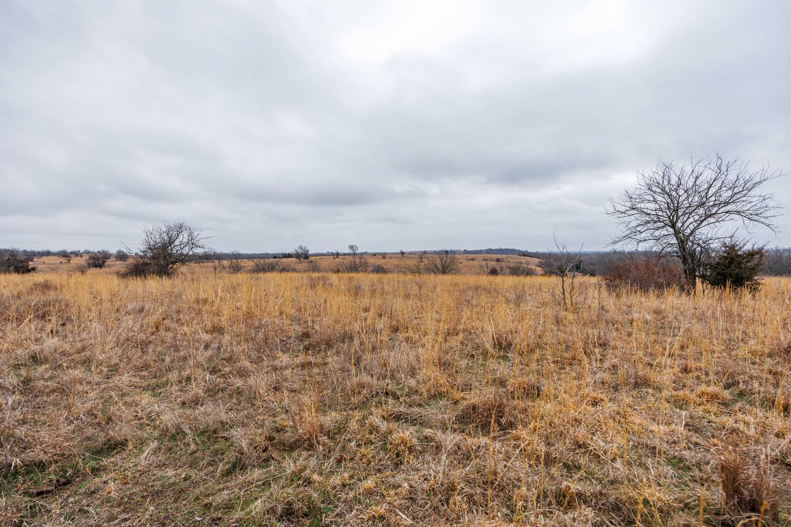 21485 Harper Rd, Fredonia, KS, 66736