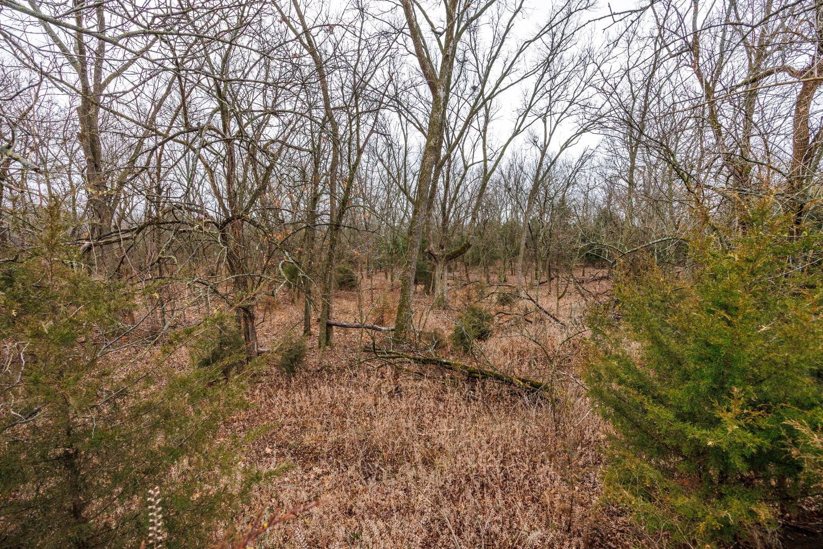 21485 Harper Rd, Fredonia, KS, 66736