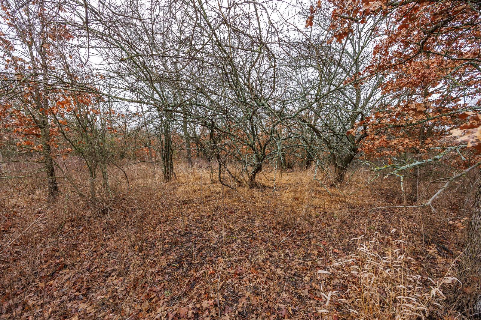 21485 Harper Rd, Fredonia, KS, 66736