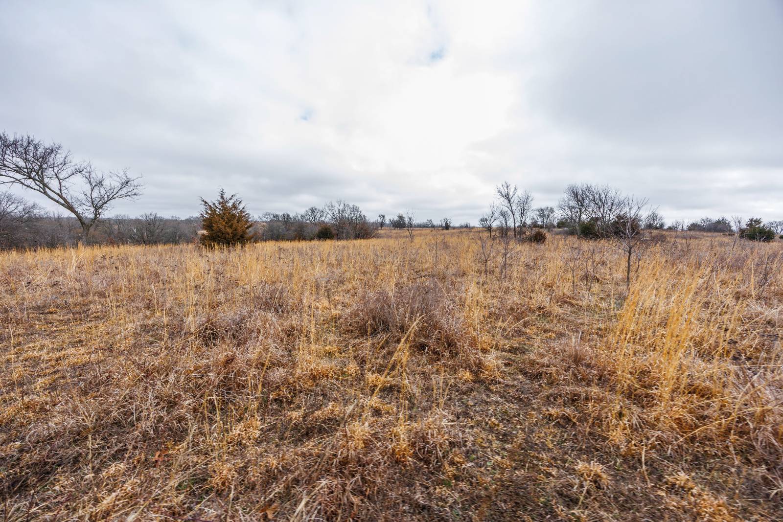 21485 Harper Rd, Fredonia, KS, 66736