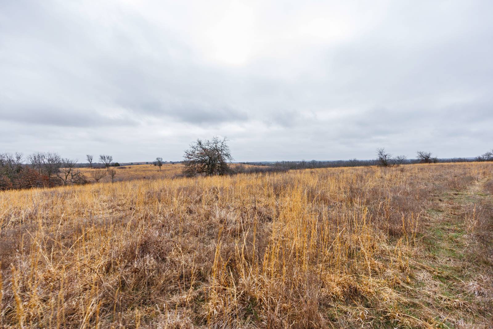 21485 Harper Rd, Fredonia, KS, 66736