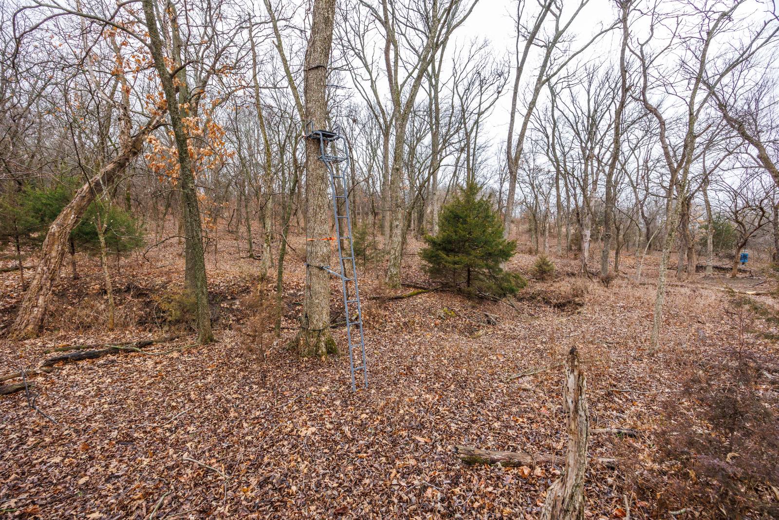 21485 Harper Rd, Fredonia, KS, 66736