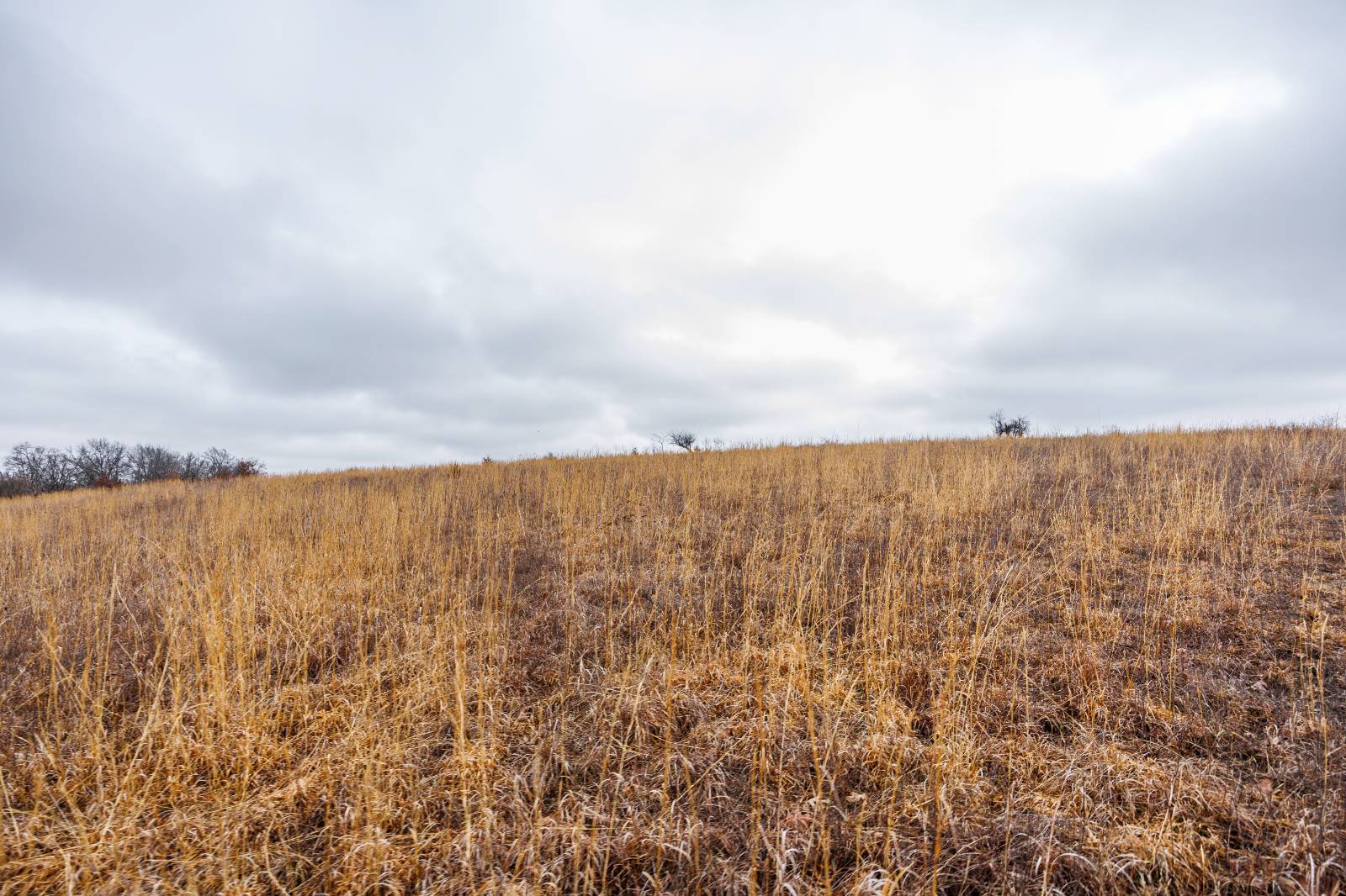 21485 Harper Rd, Fredonia, KS, 66736