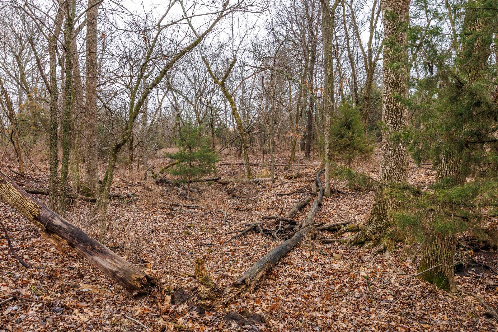 21485 Harper Rd, Fredonia, KS, 66736