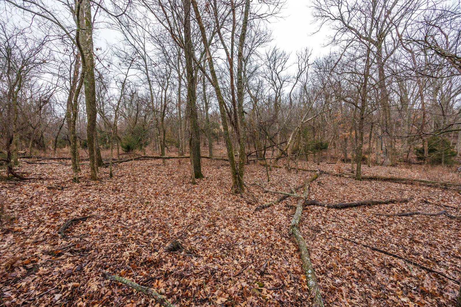 21485 Harper Rd, Fredonia, KS, 66736