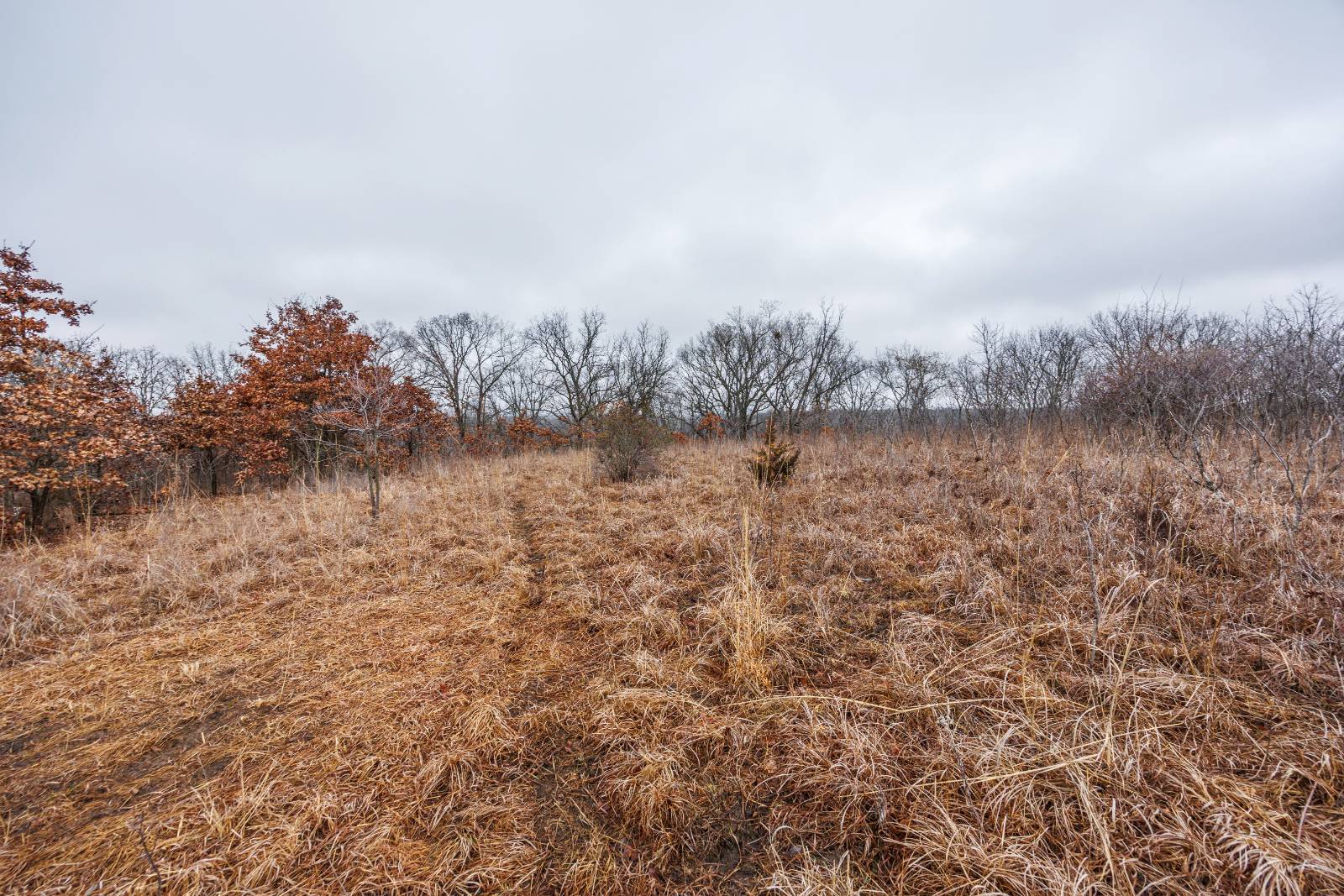 21485 Harper Rd, Fredonia, KS, 66736