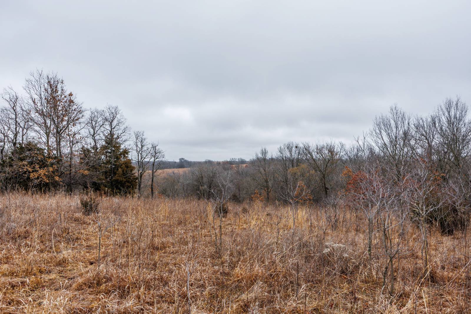 21485 Harper Rd, Fredonia, KS, 66736