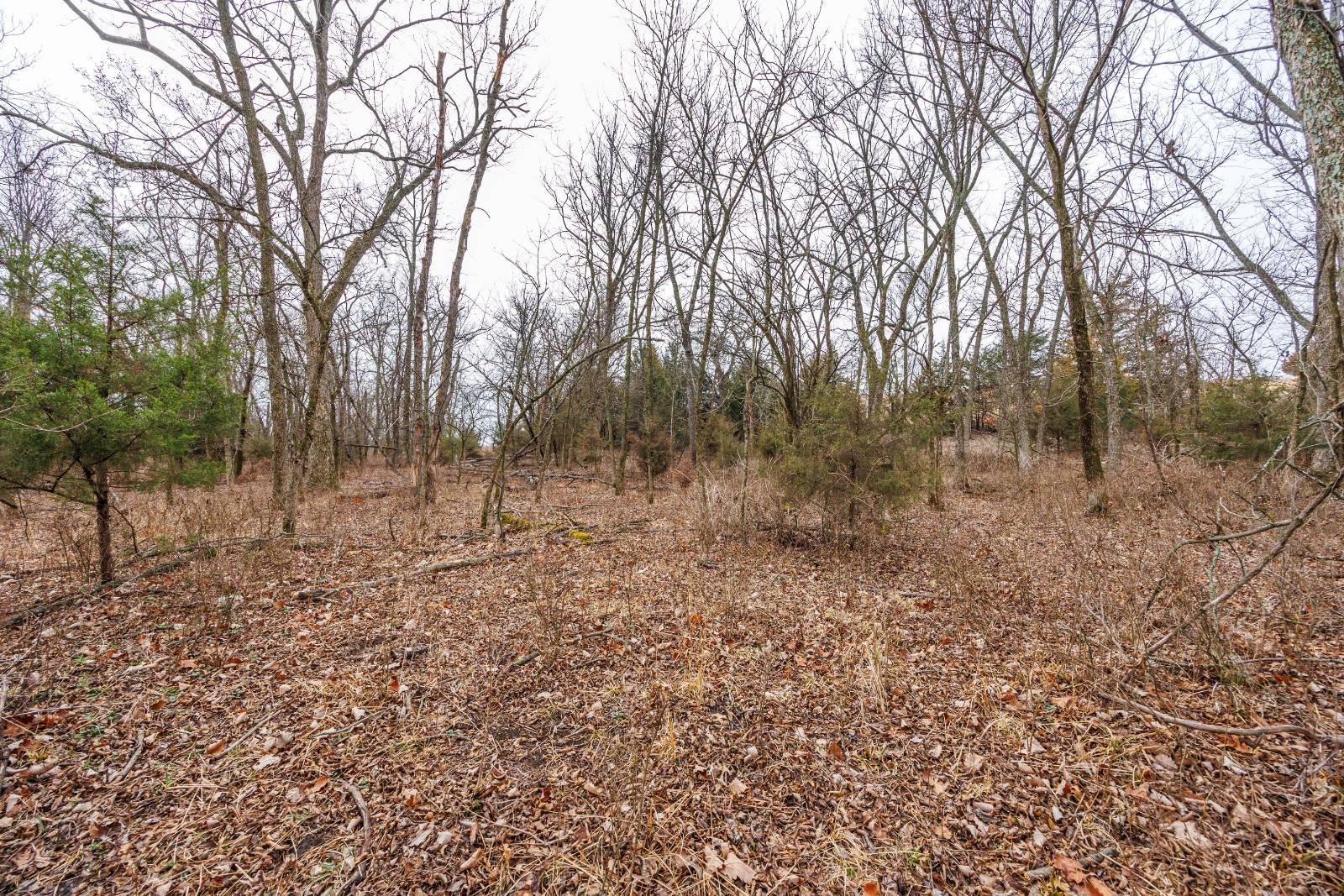 21485 Harper Rd, Fredonia, KS, 66736