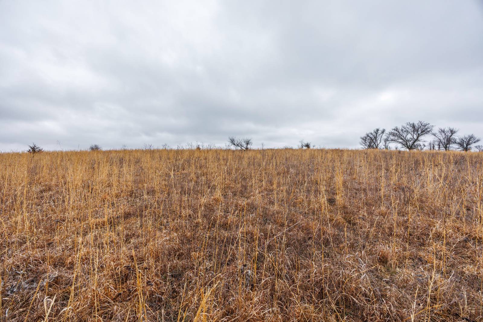 21485 Harper Rd, Fredonia, KS, 66736