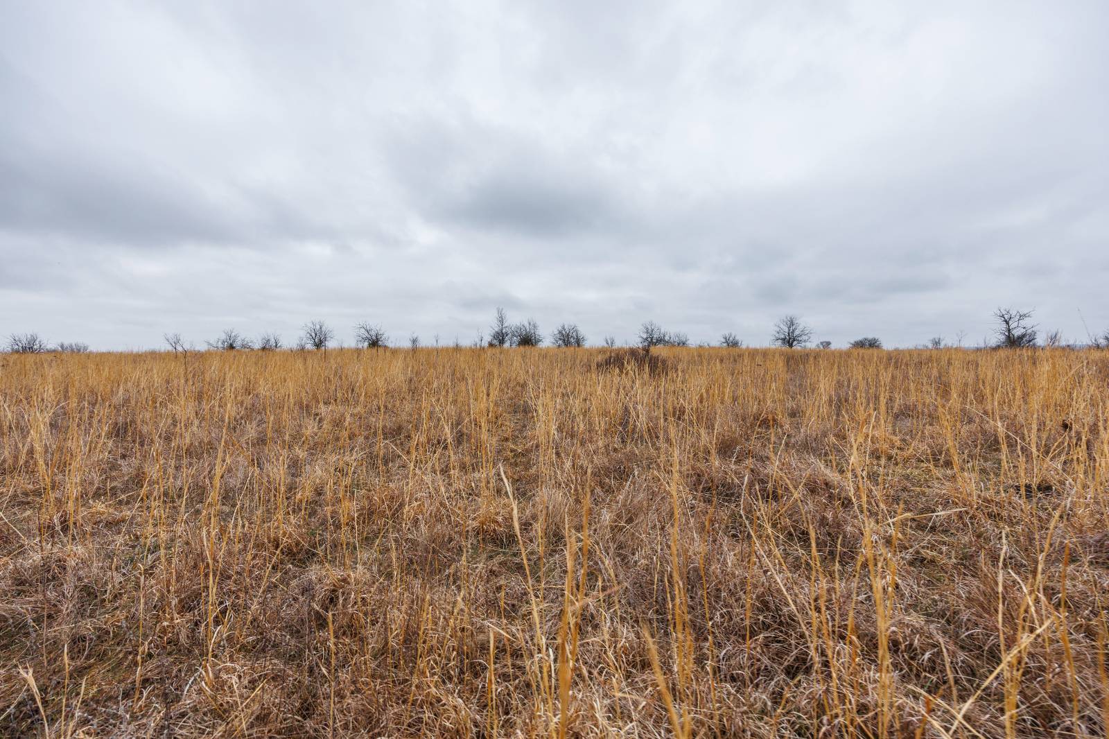 21485 Harper Rd, Fredonia, KS, 66736