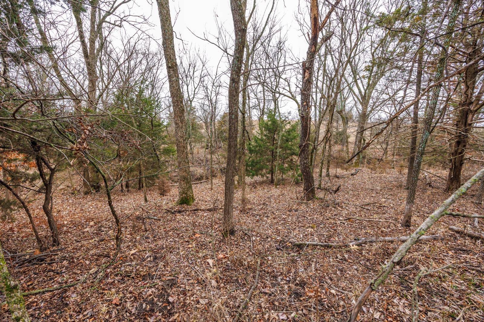 21485 Harper Rd, Fredonia, KS, 66736