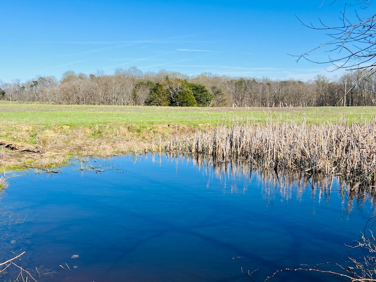 1075 Patterson Rd, #Tract 19