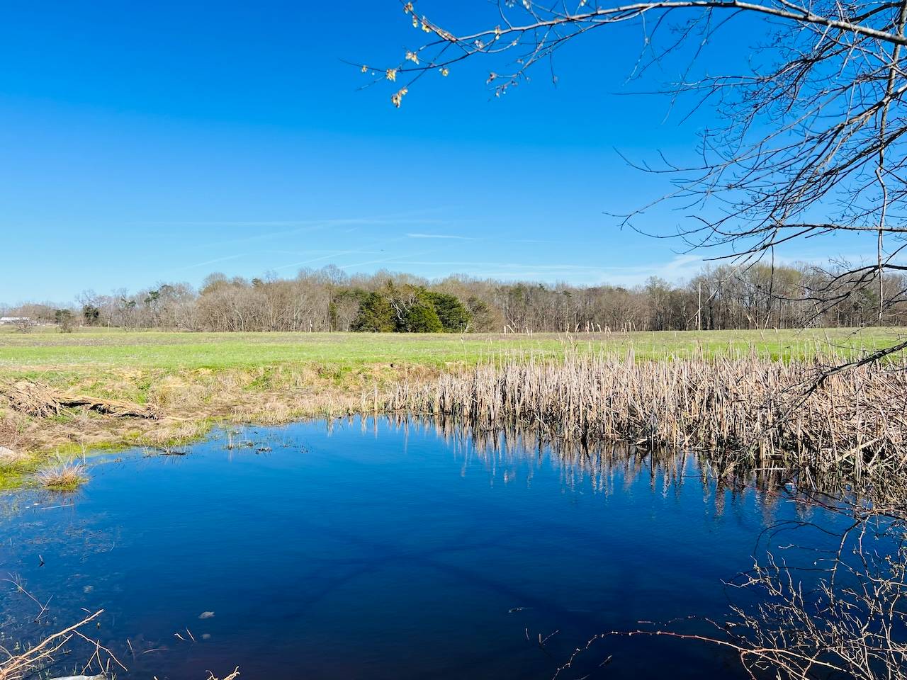 1075 Patterson Rd, #Tract 19