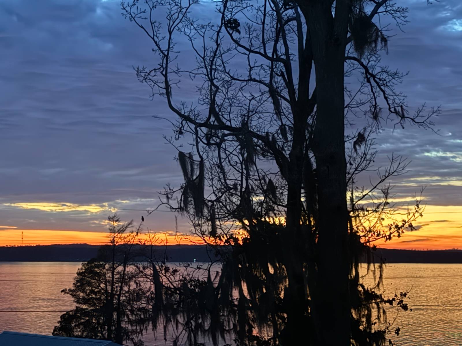 1140 Merritt Mountain Rd UNIT&nbsp;Lot 14, Many, LA, 71449