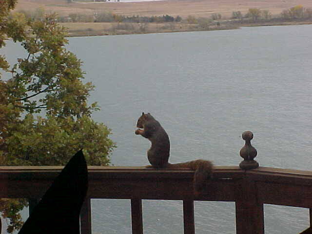 76 Lakeview Circle, Alma, KS, 66401