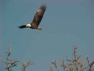 76 Lakeview Circle, Alma, KS, 66401