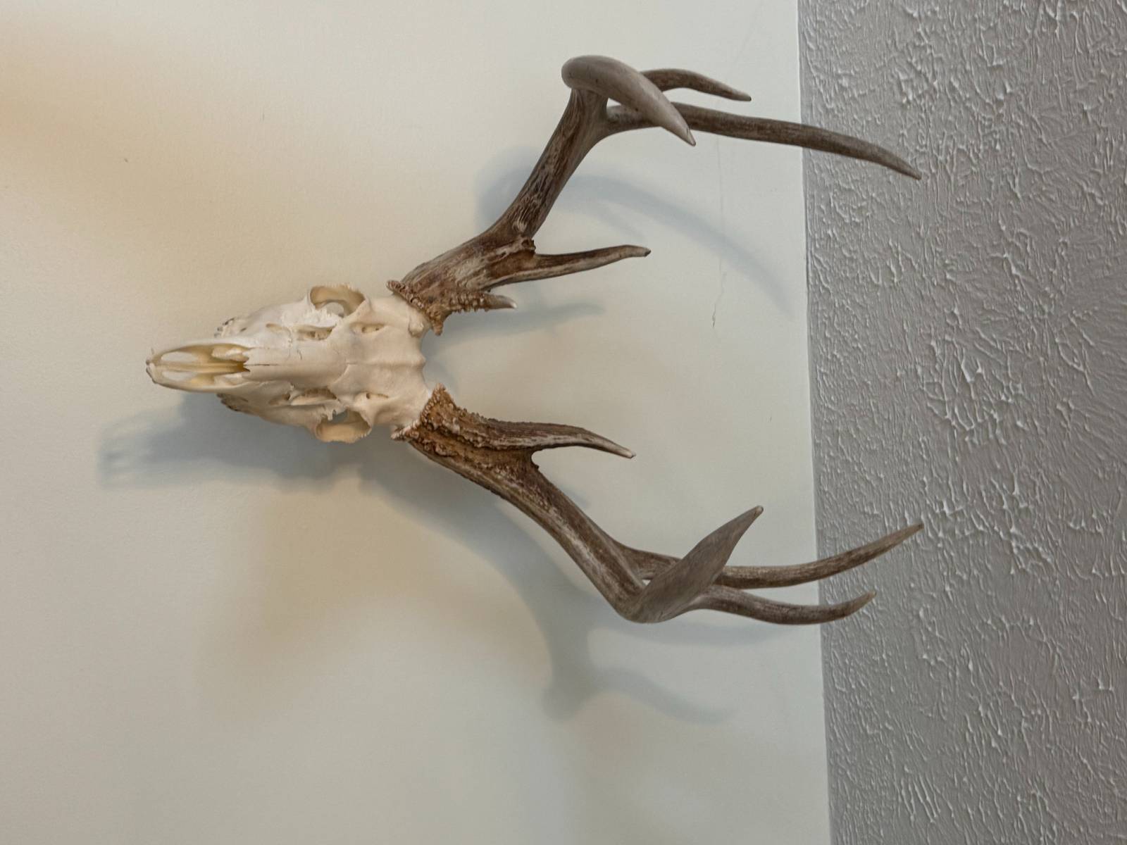 100 Rd 147, Emporia, KS, 66801