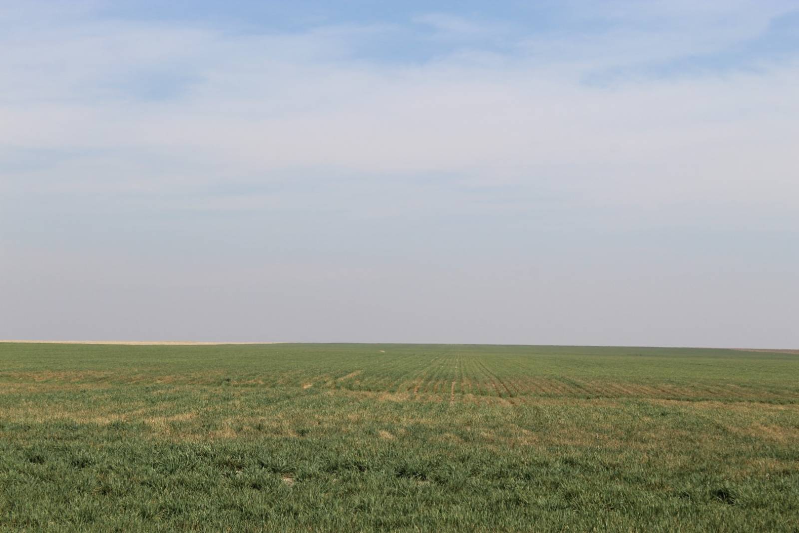 A-10; 100 Prairie View Cov