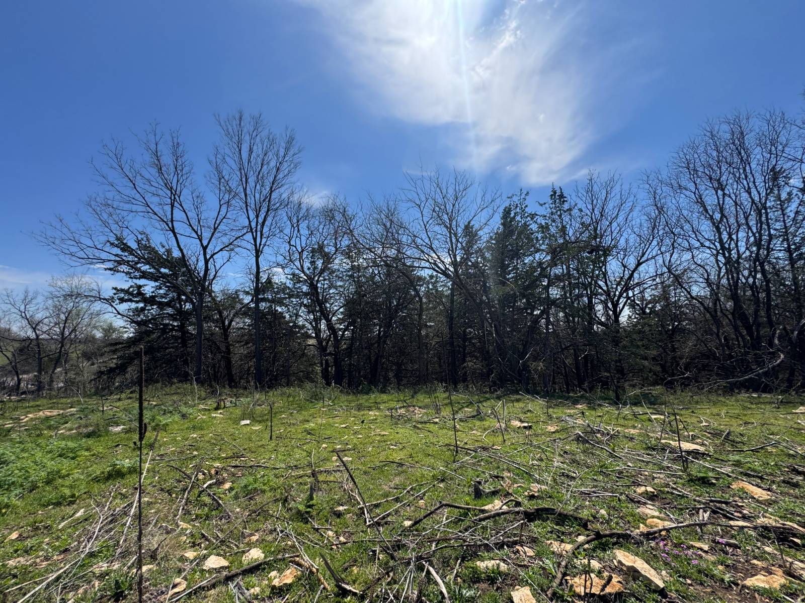 0 317th & Stubbs Rd, Quenemo, KS, 66528