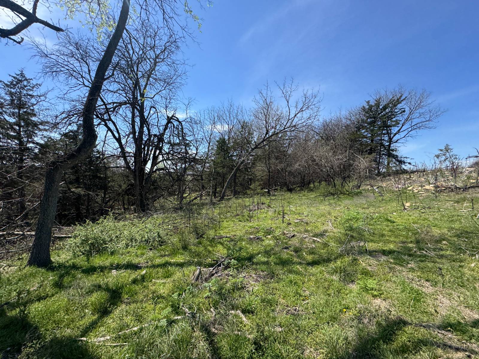 0 317th & Stubbs Rd, Quenemo, KS, 66528