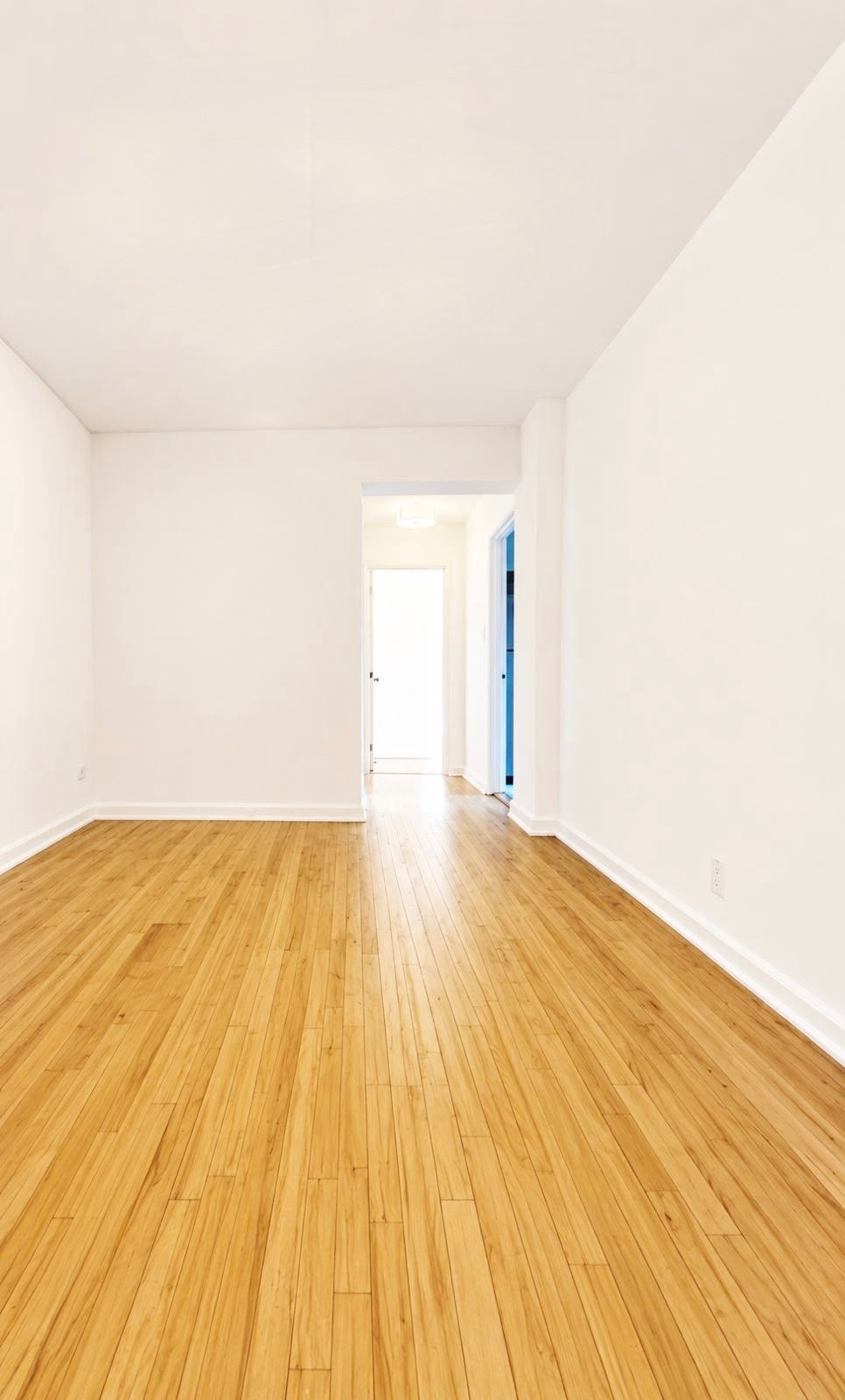 1119 Ocean Parkway, #3G