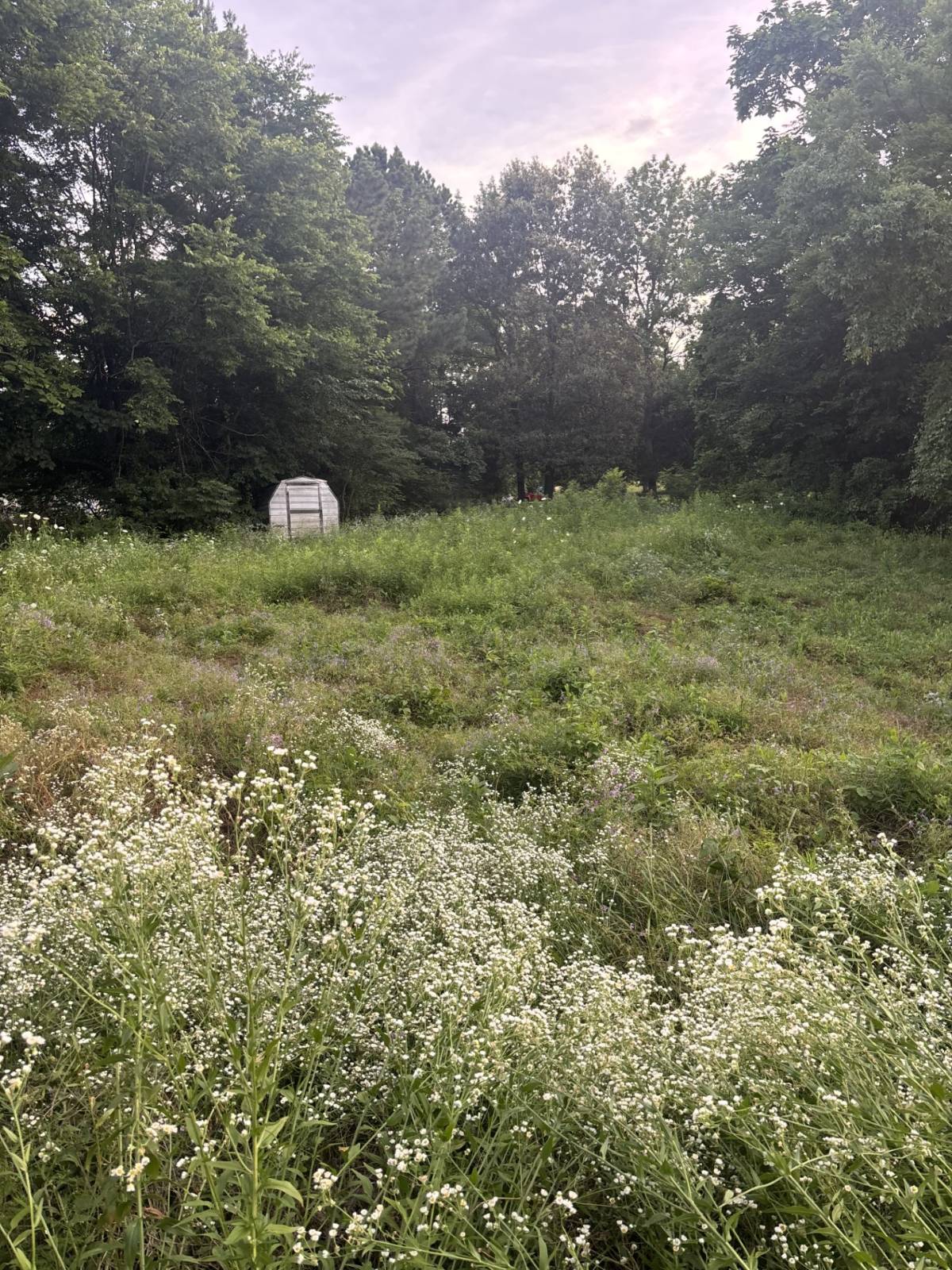 130 Wilson Lane