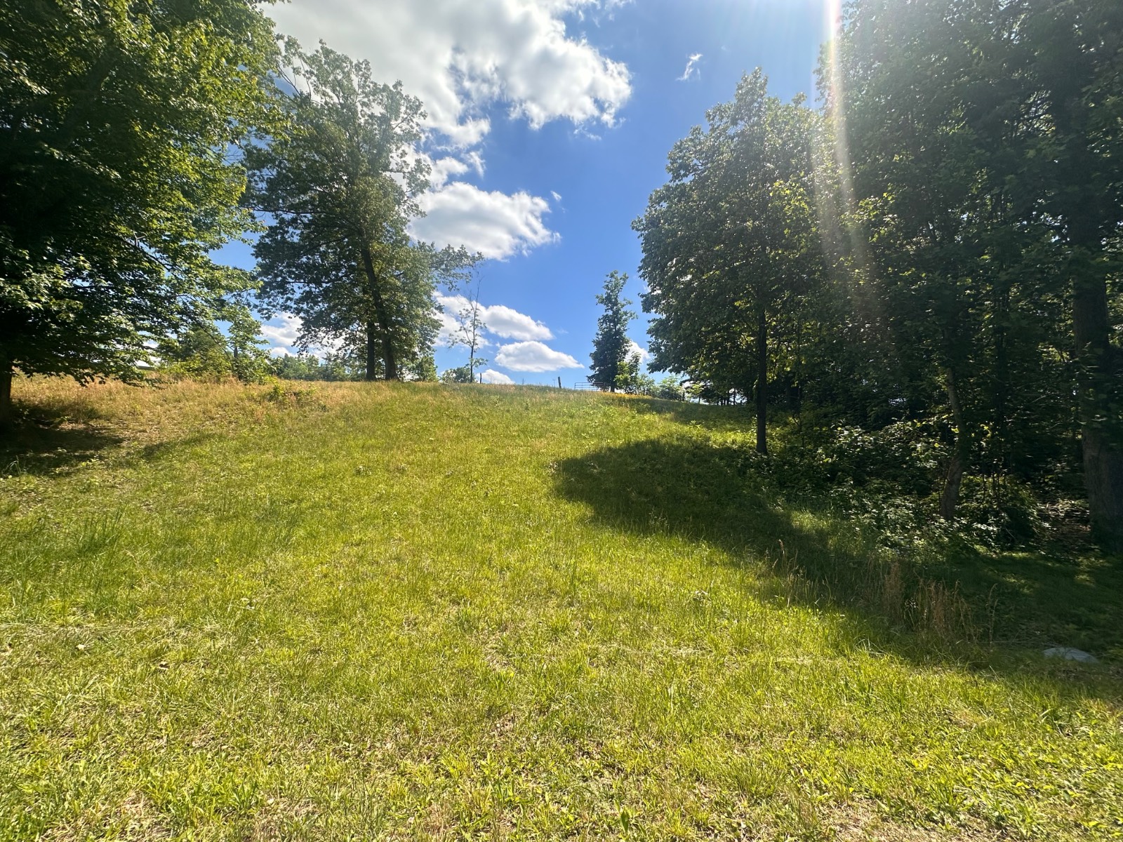 Barton Tate Acres