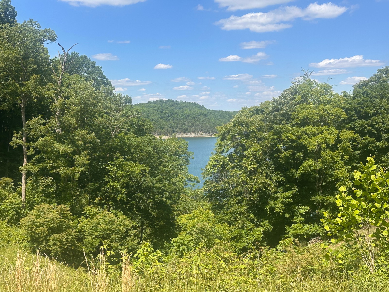 Barton Tate Acres