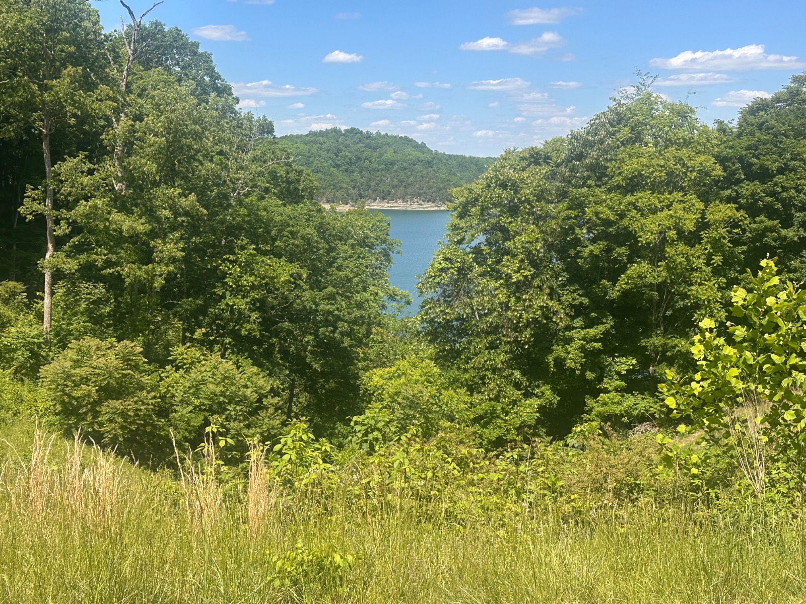 Barton Tate Acres