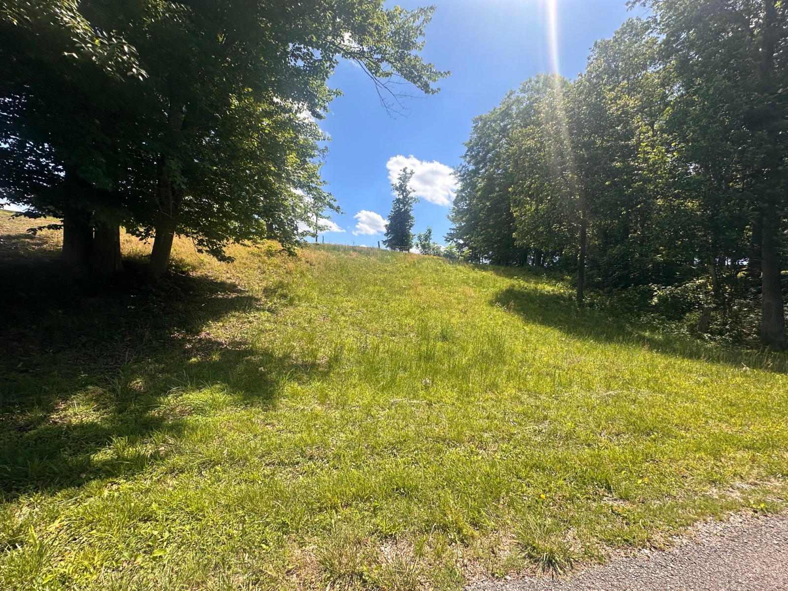 Barton Tate Acres