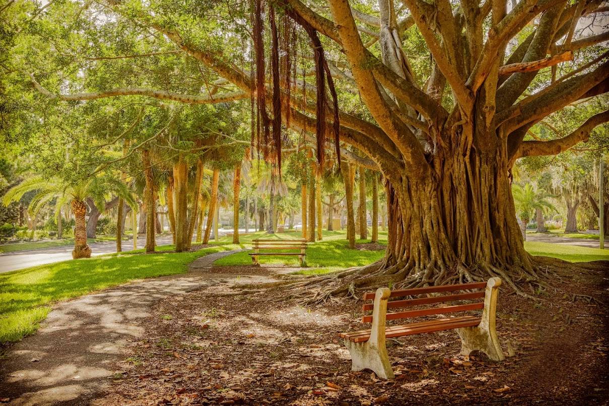500 Park Blvd S, Unit 99, Venice, FL 34285