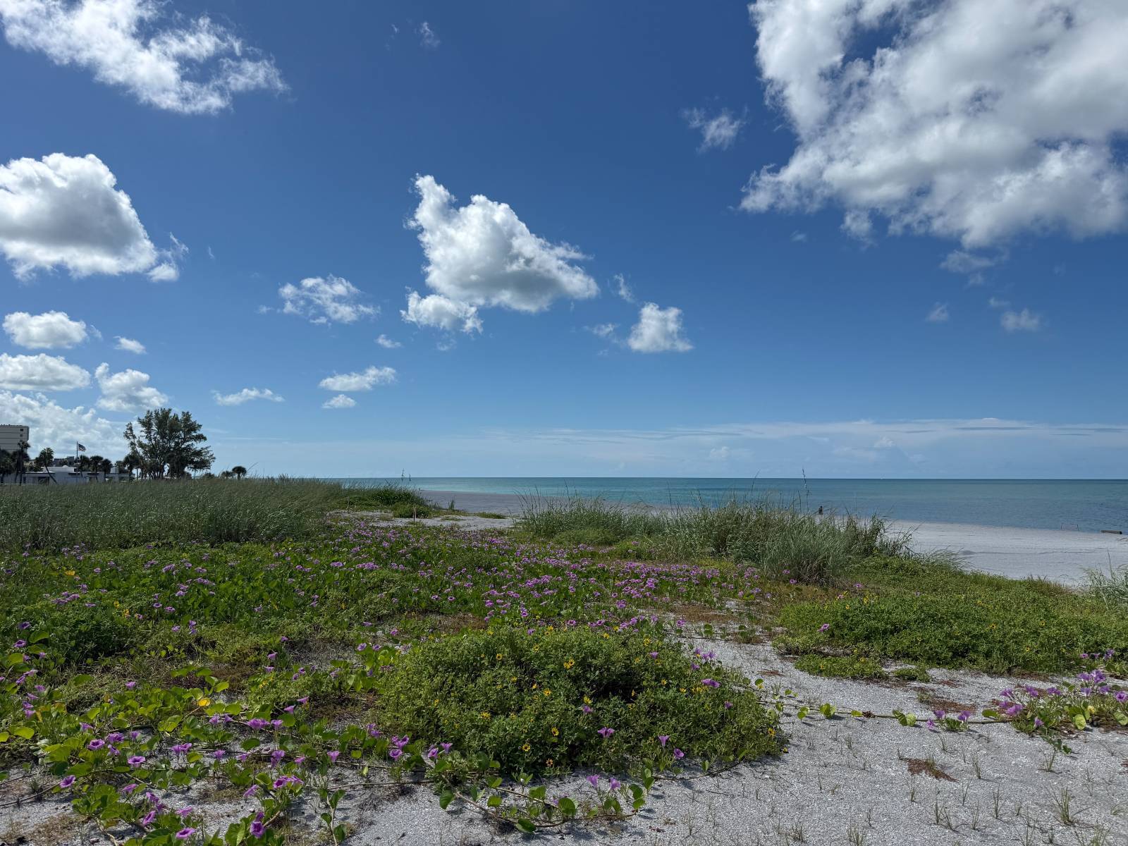 500 Park Blvd S, Unit 99, Venice, FL 34285