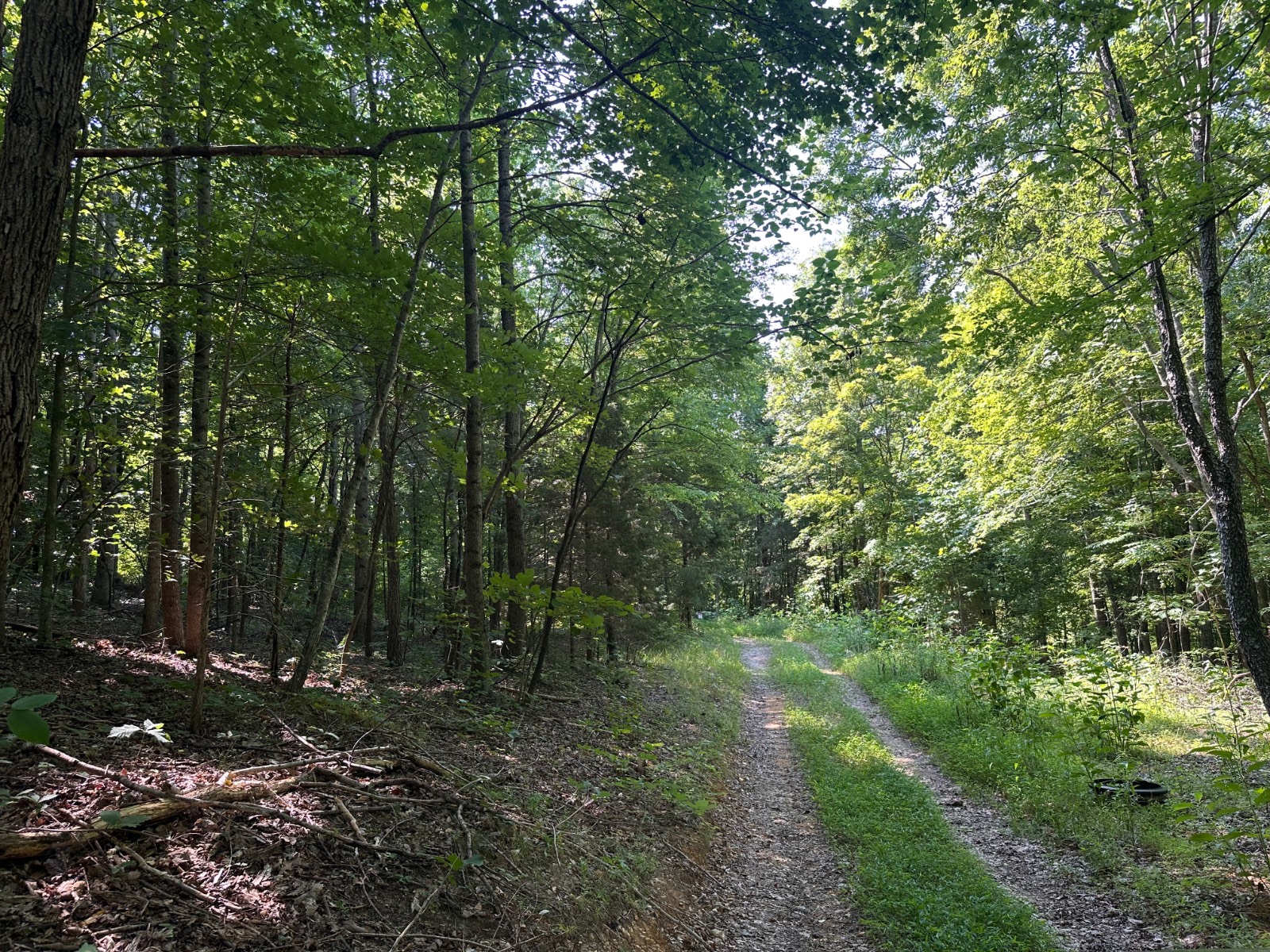 3100 Modoc Road