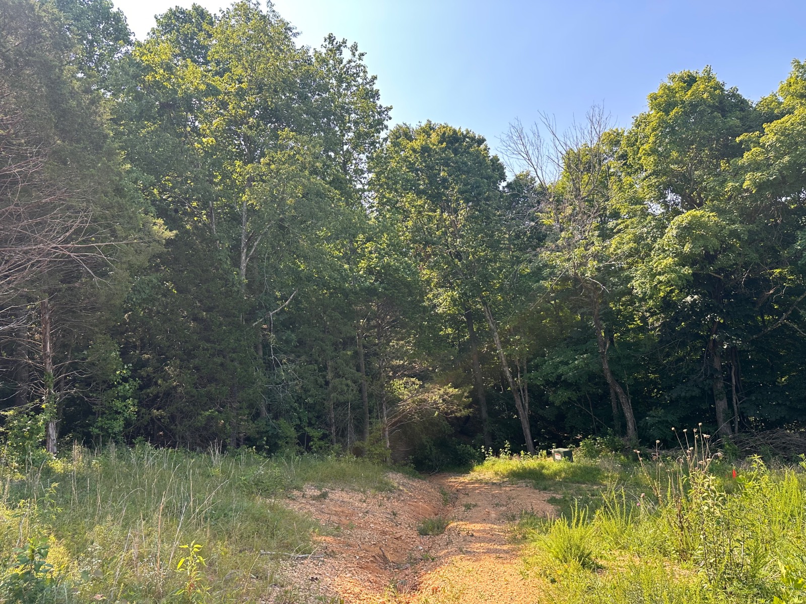 3100 Modoc Road