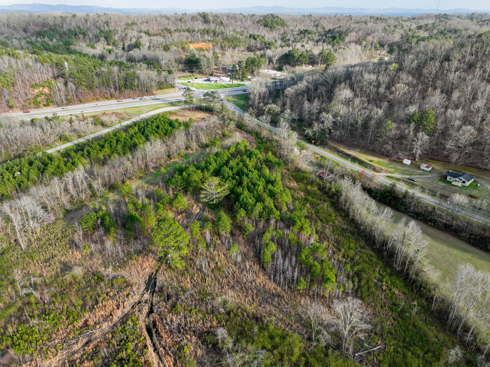 Photo 3 of 12 of land for sale at 0 Old Anniston-Gadsden Highway, Ohatchee, AL 36271