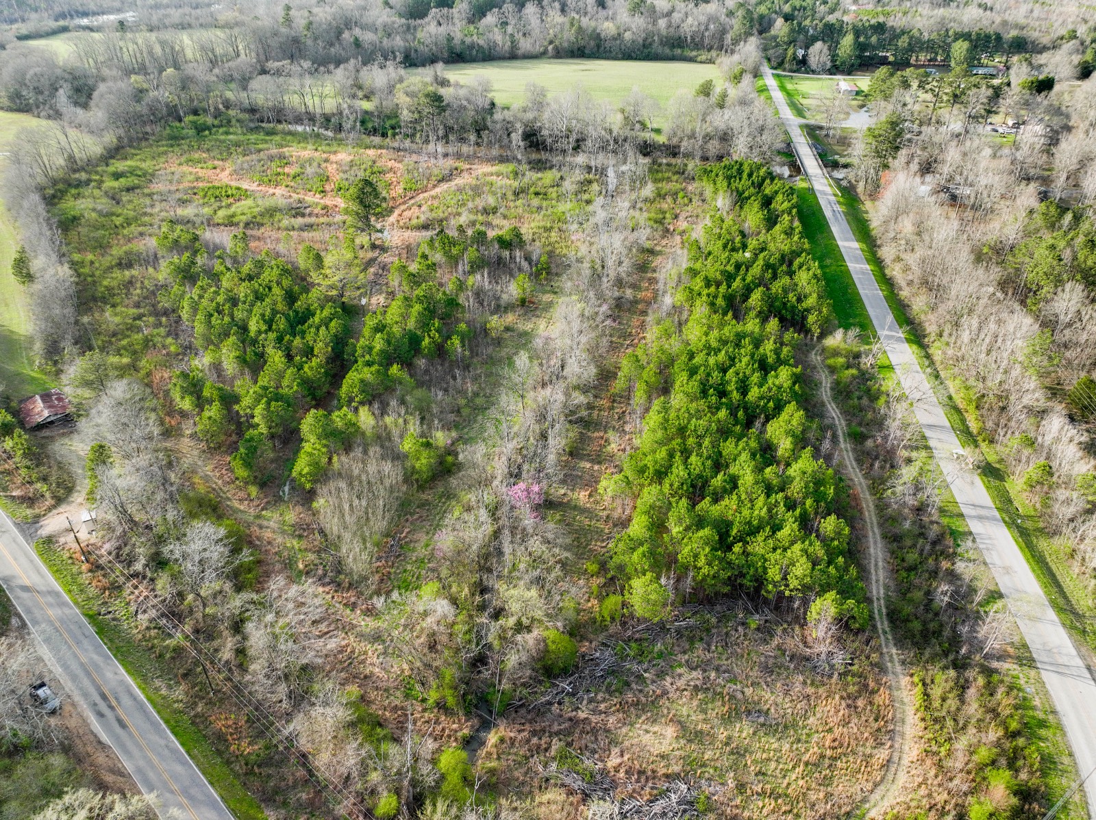 Photo 5 of 12 of land for sale at 0 Old Anniston-Gadsden Highway, Ohatchee, AL 36271