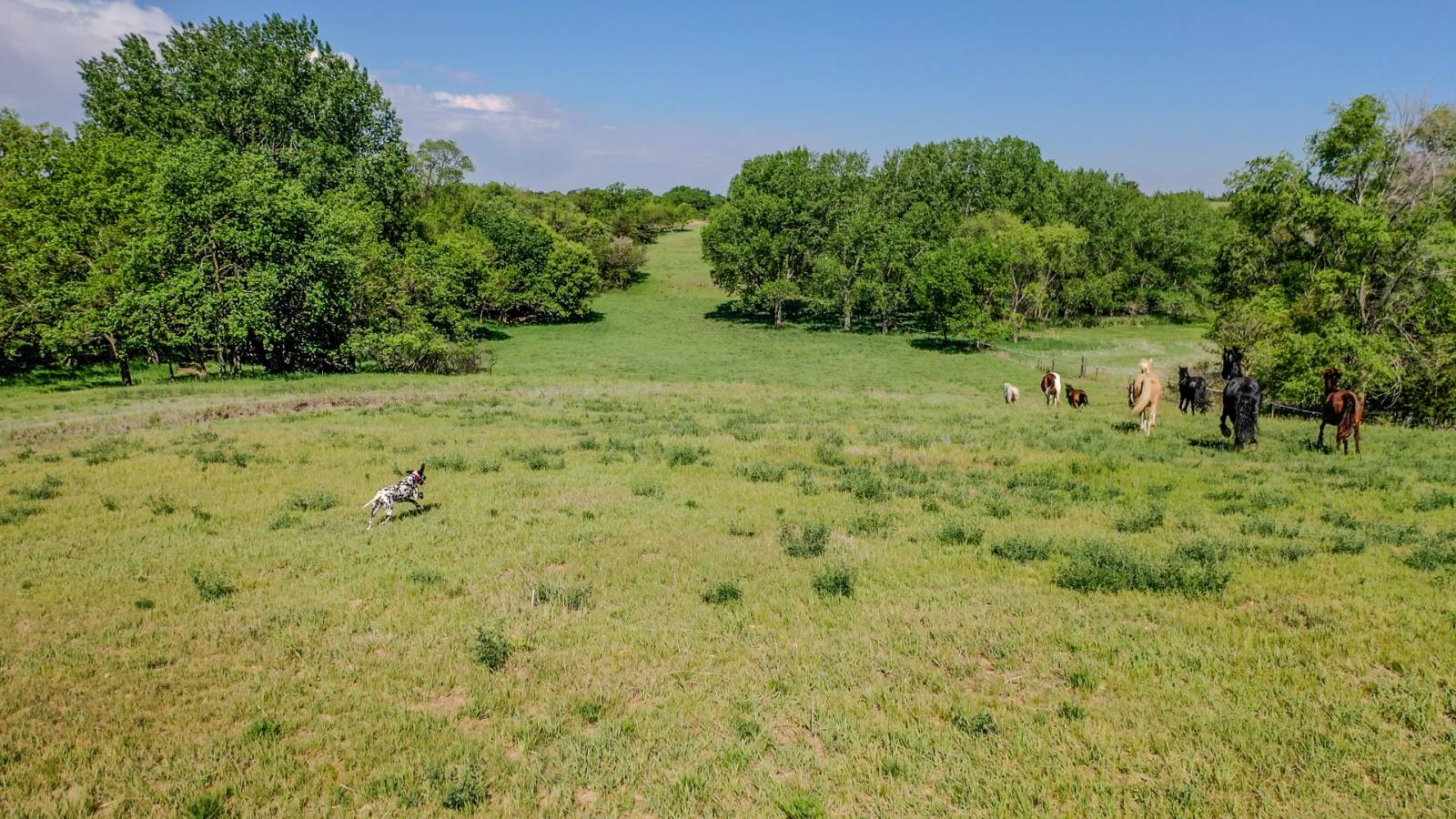 Photo 39 of 40 of farm or ranch property listing at 2446 Cottonmill Avenue, Kearney, NE 68845