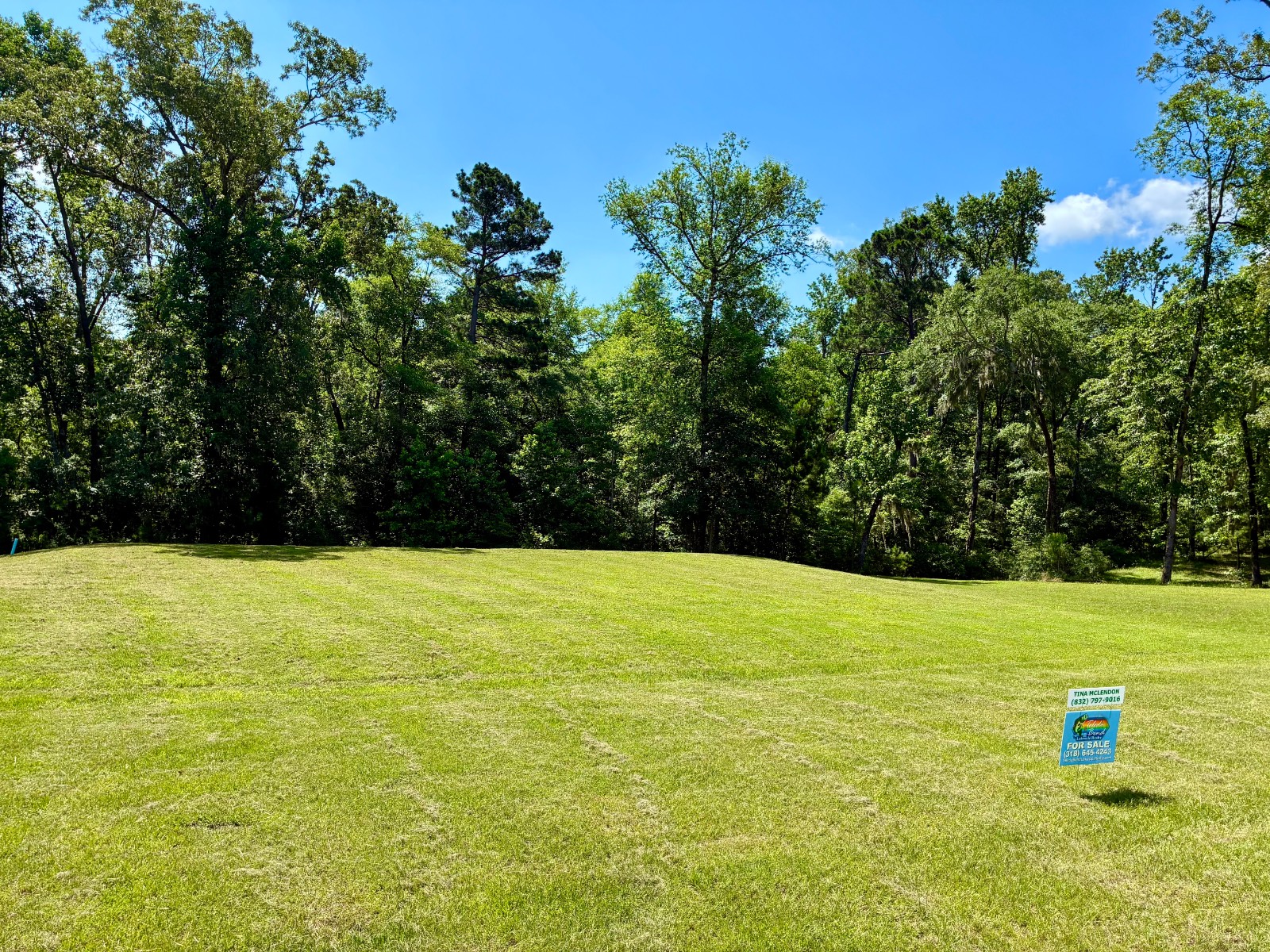 Featured Homes For You