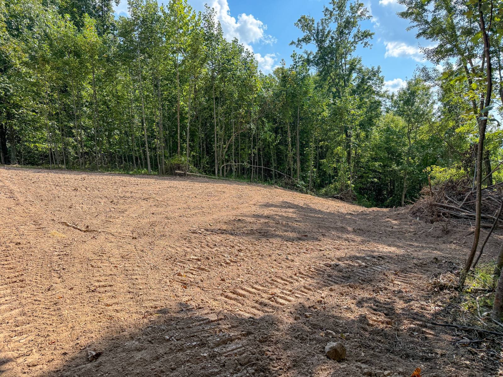 Photo 5 of 16 of land for sale at 0 Laurel Heights Drive, Sutton, WV 26601